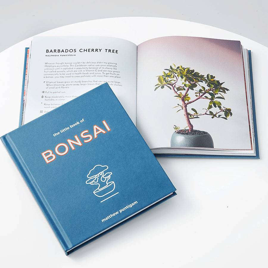 The Little Book Of Bonsai | Plants.com