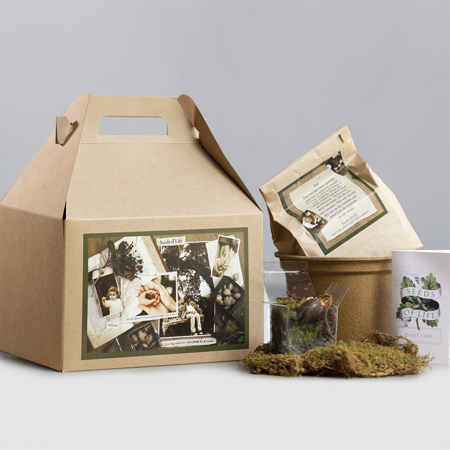 Seeds of Life™ Tree Kit For Sympathy